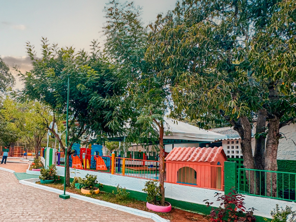 Alameda de entrada arborizada da Coopex Colégio Boa Ideia
